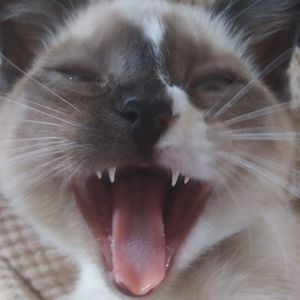 Meet your Posher, Barbara